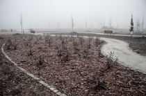 Urz�d Miejski w Wolsztynie