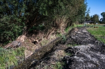 Urz�d Miejski w Wolsztynie