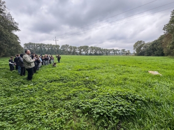 Urzd Miejski w Wolsztynie